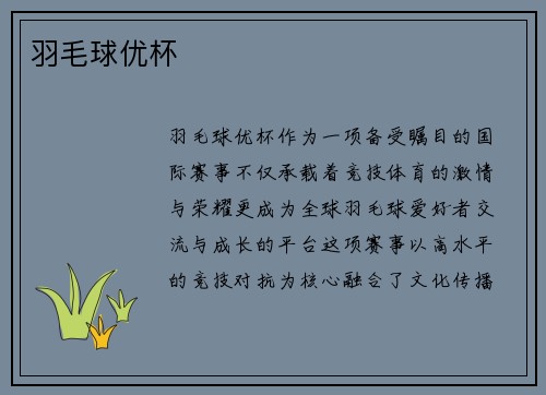 羽毛球优杯
